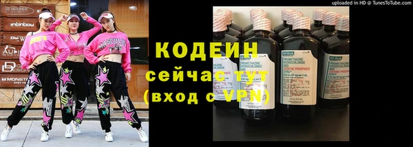 крисы Бородино