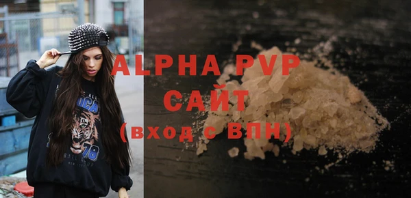крисы Бородино