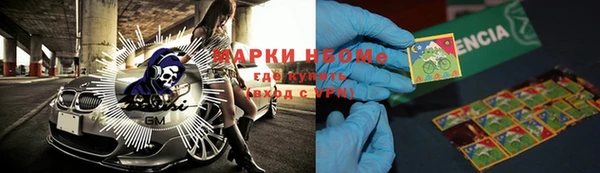 крисы Бородино