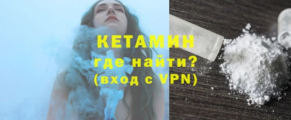 крисы Бородино