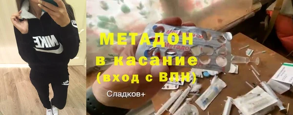 крисы Бородино