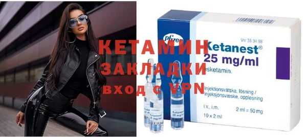 крисы Бородино