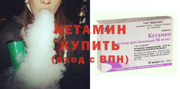 крисы Бородино