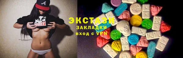крисы Бородино
