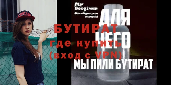 крисы Бородино