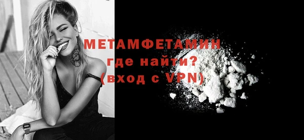 крисы Бородино
