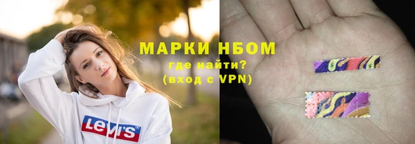 крисы Бородино