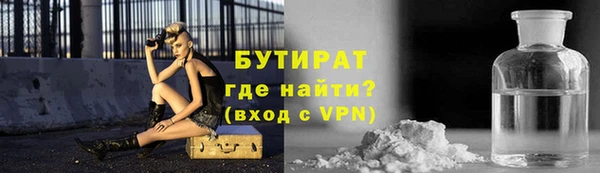 крисы Бородино