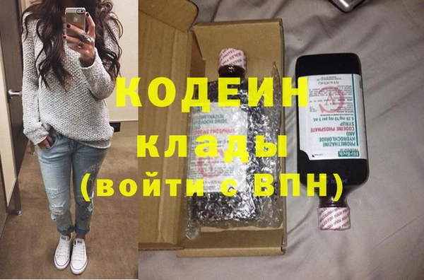 крисы Бородино