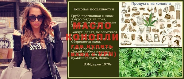 крисы Бородино