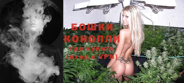крисы Бородино