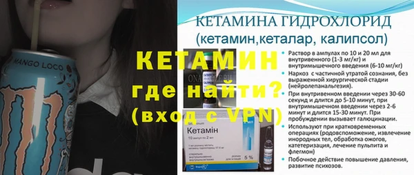 крисы Бородино