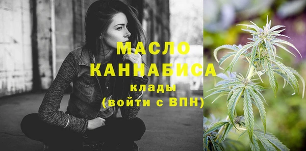крисы Бородино