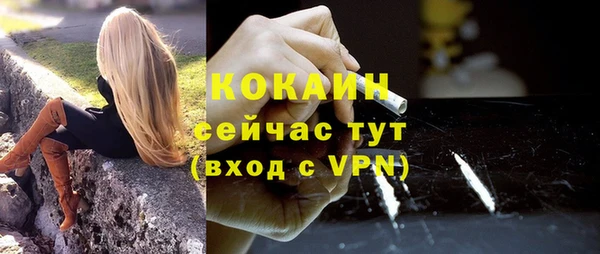 мдпв Бронницы