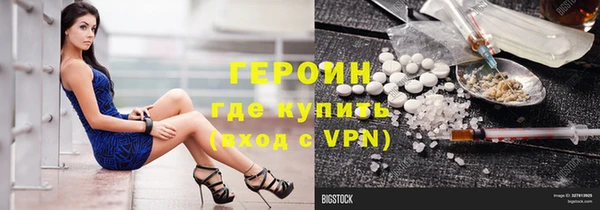 крисы Бородино