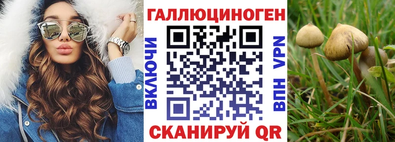 купить закладку  Острогожск  MEGA ССЫЛКА  Псилоцибиновые грибы ЛСД 